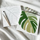 "Monstera" 8x8  Paint by Number Kit
