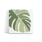 "Monstera" 8x8  Paint by Number Kit